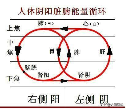 左血右氣|診斷學 第 41 講 筆記